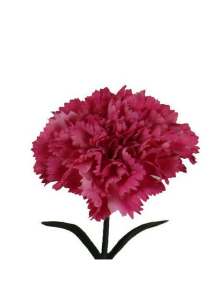 V.CLAVEL MICROPEACH ROSA