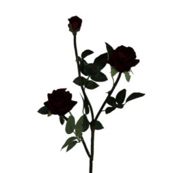 V.ROSITA X3 73 CM ROJO