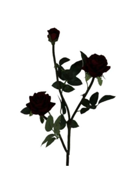 V.ROSITA X3 73 CM ROJO