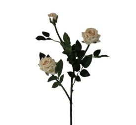 V.ROSITA X3 73 CM CREMA