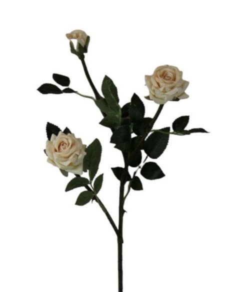 V.ROSITA X3 73 CM CREMA