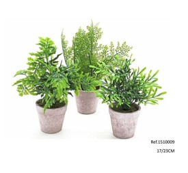 MACETA PLANTA VERDE 17-23CM