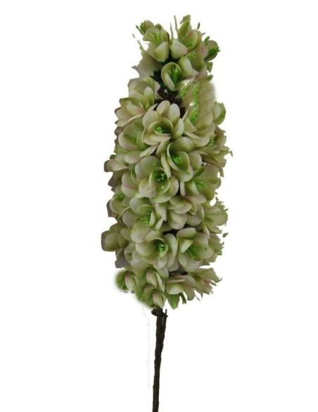 VARA JACINTO GRANDE PISTACHO