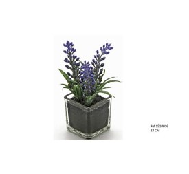 MACETA CRISTAL CON LAVANDA 13CM