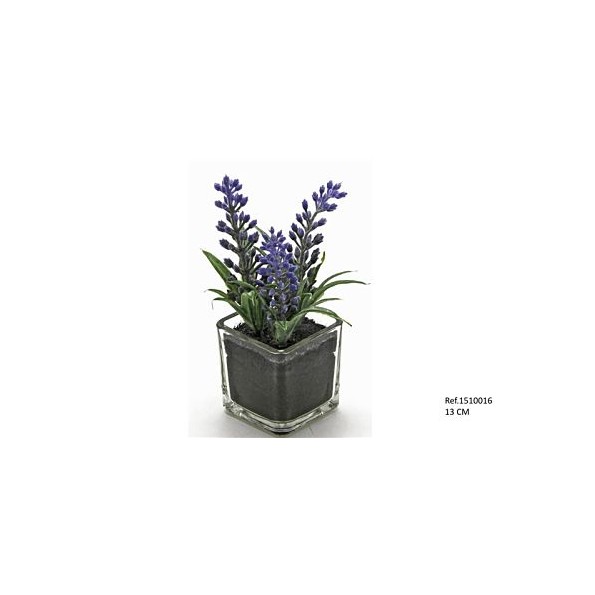 MACETA CRISTAL CON LAVANDA 13CM