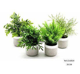 PLANTAS VERDES 20-22CM EN MACETA CEMENTO