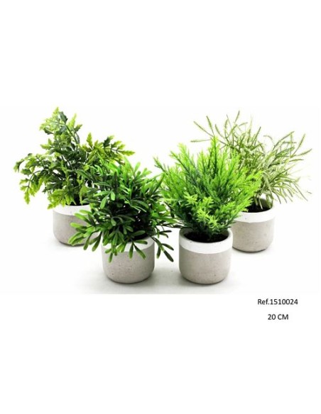 PLANTAS VERDES 20-22CM EN MACETA CEMENTO