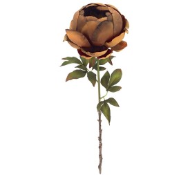 PEONIA OCRE (2033-04)