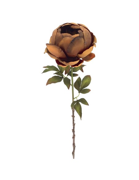 PEONIA OCRE (2033-04)