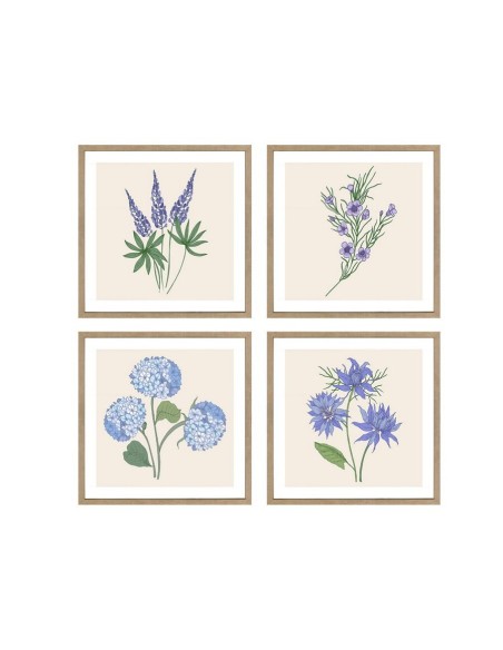 CANVAS C/MARCO LAVANDER 30X30X2CM 4 SURT