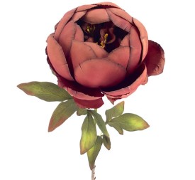 PEONIA BURDEOS (2033-17)