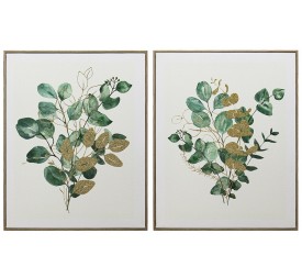 CANVAS C/MARCO   EUCALIPTO 40X50X2CM 2 SURT