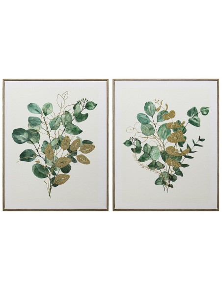 CANVAS C/MARCO   EUCALIPTO 40X50X2CM 2 SURT