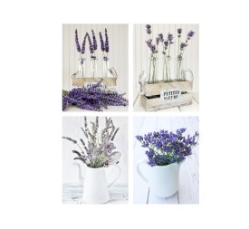 CANVAS LAVYN 30X40CM 4 SURT.