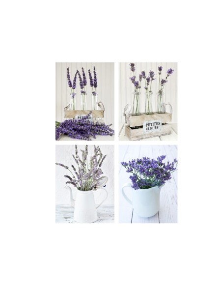 CANVAS LAVYN 30X40CM 4 SURT. CANVAS LAVYN 30X40CM 4 SURT.
