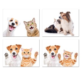 CANVAS LOCY 30X40CM 4 SURT.