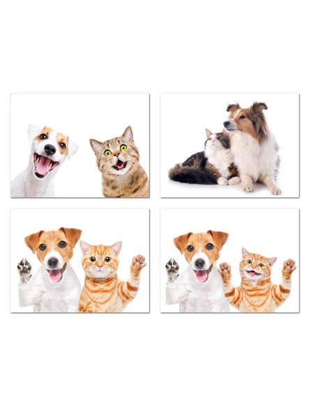 CANVAS LOCY 30X40CM 4 SURT.