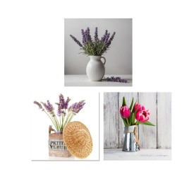 CANVAS LANVY 40X40CM 3 SURT.