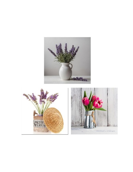 CANVAS LANVY 40X40CM 3 SURT.