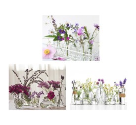 CANVAS SILVYS 40X50CM 3 SURT.