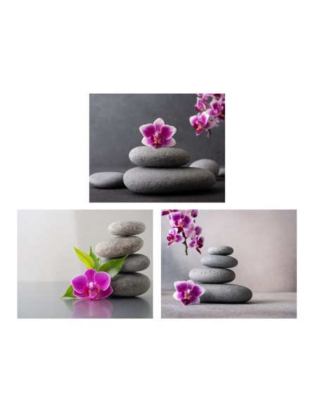 CANVAS PIEDROH 40X50CM 3 SURT.