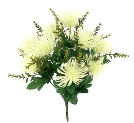 RAMO LEUCUSPERMUM CREMA (7342-01)