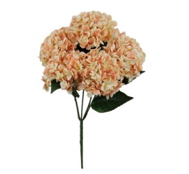 R.HORTENSIA X 5 MIEL
