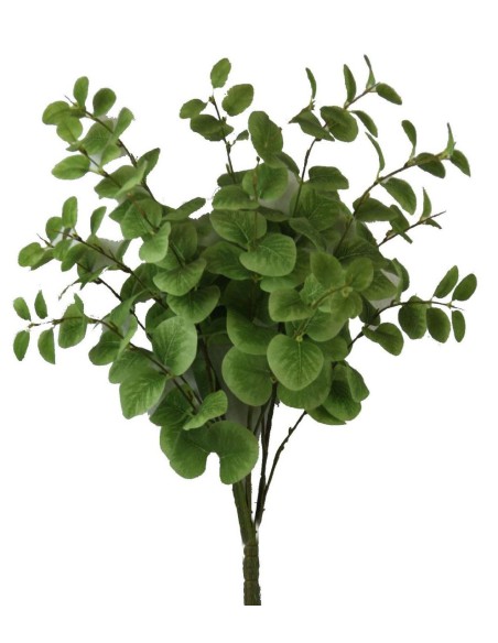 RAMO EUCALIPTO X 12 PISTACHO