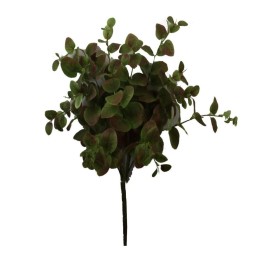 RAMO EUCALIPTO X 12 MARRON