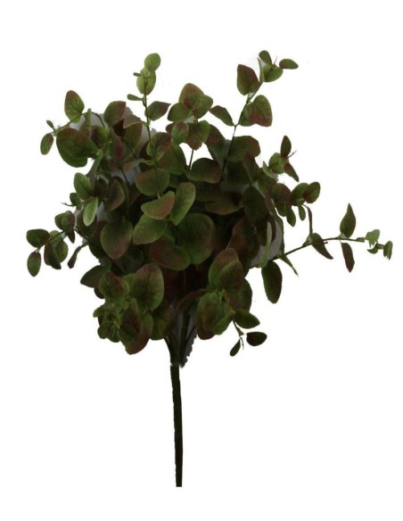 RAMO EUCALIPTO X 12 MARRON