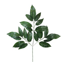 VARA DE LAUREL UNICO