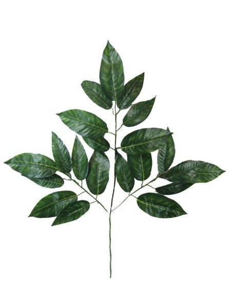 VARA DE LAUREL UNICO