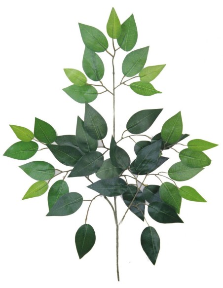 VARA FICUS VERDE UNICO