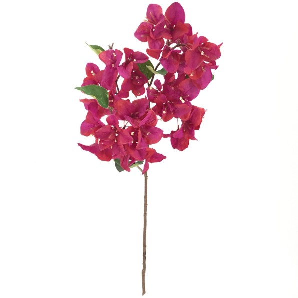 BOUGANVILLEA FUCSIA (6253-07)