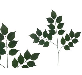 VARA FICUS HOJA GRANDE X 21 - 66 CM