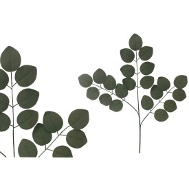 VARA EUCALPYTUS HOJA GRANDE X 21 - 66CM