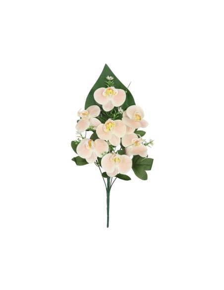 CONJUNTO ORQUIDEAS R/T X 7 - 50 CM (CR)