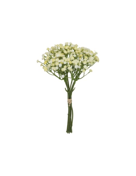 ATADO GYPSOPHILA BICOLOR X 7-33 CM (AM)