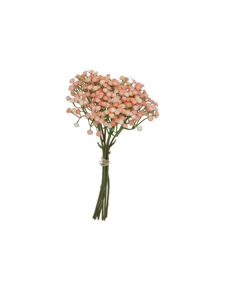 ATADO GYPSOPHILA BICOLOR X 7-33 CM (TE)