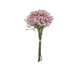 ATADO GYPSOPHILA BICOLOR X 7-33 CM (ROS)
