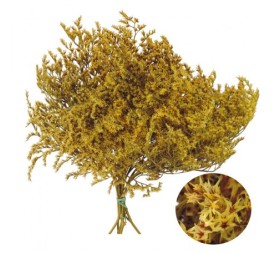 TATARICA 100 GRS. AMARILLO (P16)