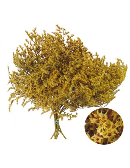 TATARICA 100 GRS. AMARILLO (P16)