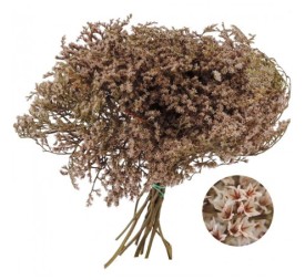 TATARICA 100 GRS. ROSA (P41)