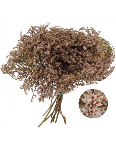 TATARICA 100 GRS. ROSA (P41)