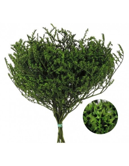 TATARICA 100 GRS. VERDE(P67)