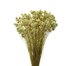 HILL FLOWER 45 cms. VERDE (F60)