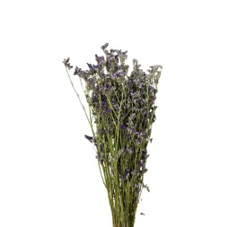 LIMONIUM PRESERVADO LILA