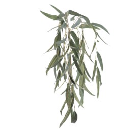 COLGANTE EUCALYPTUS (4941-69)