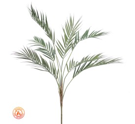 ARECA (FR) (UV) (6514-09)