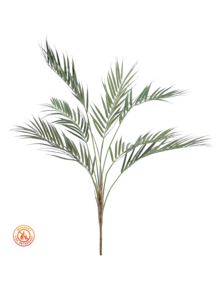 ARECA (FR) (UV) (6514-09)